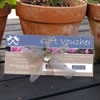 Picture of eVoucher Voucher