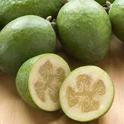 Picture of Feijoa Anatoki