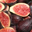Picture of Fig Brunoro Black