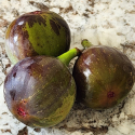 Picture of Fig French Sugar