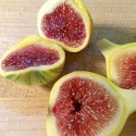 Picture of Fig Panache