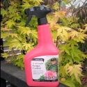 Picture of Fungus Control RTU 750ml