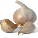 Picture of Garlic Elephant