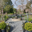 Picture of Gothic Arch