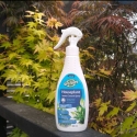 Picture of Houseplant Insect Control