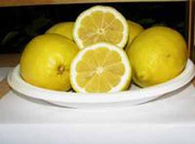 Picture of Lemon Lisbon