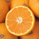 Picture of Mandarin Kara