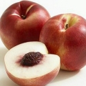 Picture of Nectarine Snow Queen
