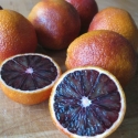 Picture of Orange Blood Moro