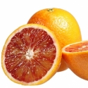 Picture of Orange Blood Sanguinelli Std