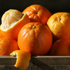 Picture of Orange Washington Navel Dwf