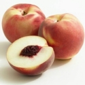 Picture of Peach April White