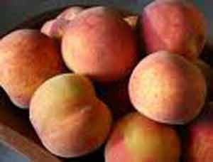 Picture of Peach Flamecrest