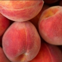 Picture of Peach Maycrest