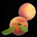 Picture of Peach Sweet Perfection