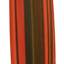 Picture of Phormium Firebird