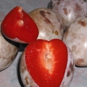 Picture of Plum Elephant Heart GQ