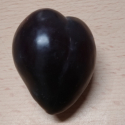 Picture of Plum Elephant Heart GQ