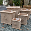 Picture of Pot Square  Rosette Terracota