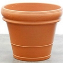 Picture of Pot Terracotta Doppio Bordo