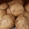 Picture of Potato Jersey Bennes