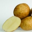 Picture of Potato Karaka