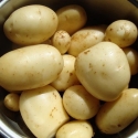 Picture of Potato Marris Anchor