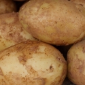 Picture of Potato Nadine