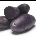 Picture of Potato Purple Passion