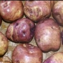 Picture of Potato Whataroa