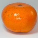 Picture of Tangor Murcott