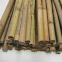 Picture of Tool Stake Bamboo 1.8
